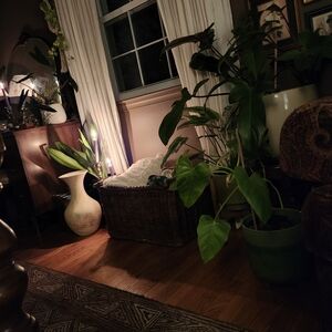 Meet your Posher, Toni